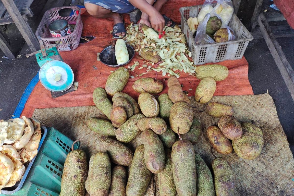 Jarang diketahui, ini 8 khasiat cempedak