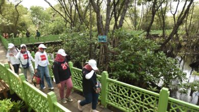 7 wisata hidden gem pada Ibukota untuk melepas penat setelahnya bekerja
