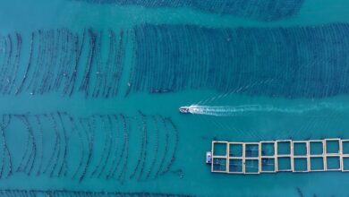 Pejabat NDRC: China miliki sistem bidang kelautan terbesar di dalam area dunia