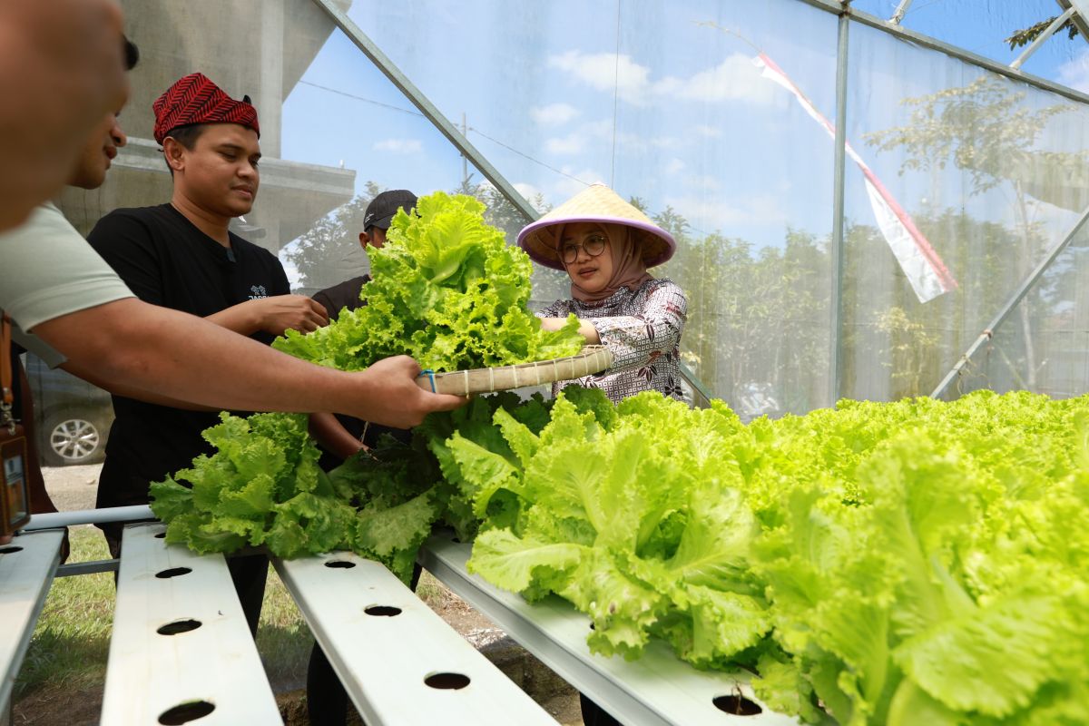 Pemkab Banyuwangi dorong lahirnya petani muda kreatif juga mandiri