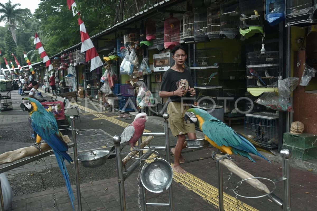 DKI kemarin, tukang jualan Pasar Binatang Barito hingga Taman Bendera Pusaka