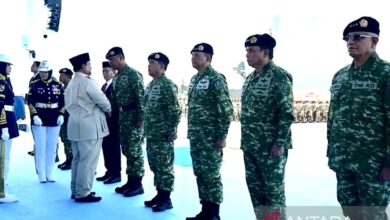 Profil jenderal Tandyo Budi Revita, Wakil Panglima TNI yang mana mana baru