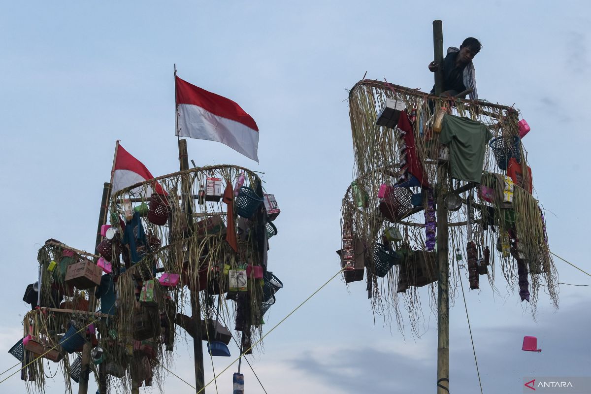 Sejarah panjat pinang yang dimaksud digunakan menjadi ciri khas pada perayaan HUT RI