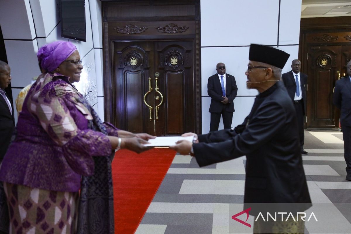 Dubes RI serahkan surat kepercayaan, perkuat kerja sejenis dengan Namibia