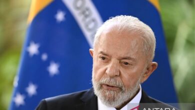 Brasil berencana kucurkan Rp88 M untuk eksportir yang dimaksud yang disebutkan kena tarif Amerika Serikat