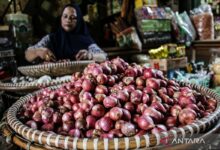 Bapanas: Harga cabai rawit Rp46.767/kg, bawang merah Rp47.100/kg