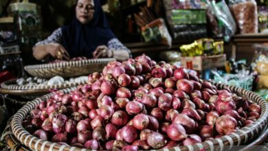 Bapanas: Harga cabai rawit Rp46.767/kg, bawang merah Rp47.100/kg