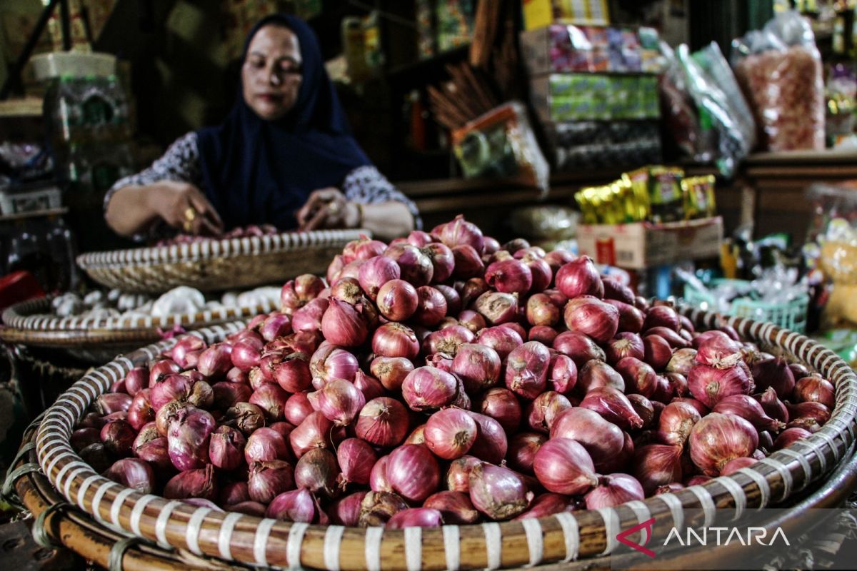 Bapanas: Harga cabai rawit Rp46.767/kg, bawang merah Rp47.100/kg