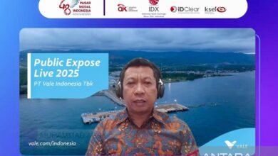Danantara tunjukkan minat penyertaan modal di dalam area tiga proyek Vale Indonesia