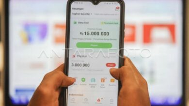 Alasan Gen Z tambahan proper pilih Paylater berbeda dengan kartu kredit