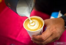 5 jenis minuman kopi yang dimaksud populer kemudian juga disukai berbagai orang