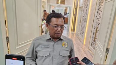 BAKN DPR: Danantara membantu pupuk subsidi lewat revitalisasi-investasi