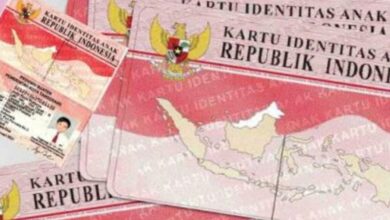 Apa itu KTP Pink? Penerangan lengkap fungsi lalu prosedurnya