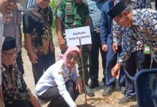 Ini adalah adalah Profil Astrid Widayani, Wakil Wali Daerah Perkotaan Solo-Ketua DPD PSI Solo