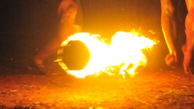 Kemunculan banaspati “bola api” pada hutan Jawa menurut ilmu sains