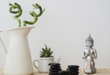 3 Shio Bakal Beruntung dalam Tahun 2026 Menurut Master Feng Shui