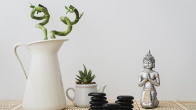 3 Shio Bakal Beruntung dalam Tahun 2026 Menurut Master Feng Shui