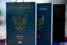 9 Paspor Terlemah pada Planet 2025, Tanah Air Ranking Berapa?