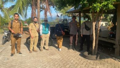 Polri Dampingi Petugas Vaksinasi Fauna Ternak pada Kecamatan Skongkang