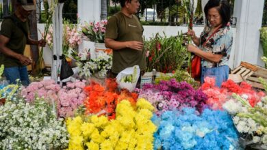 Hari Mawar: Kenali makna dari warna bunga rupawan yang dimaksud mana beragam