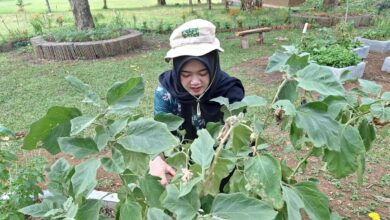 Rayakan Hari Pangan Sedunia 2025, dengan kurangi food waste