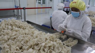 Sejarah sarang burung walet sebagai komoditas unggulan Negara Indonesia