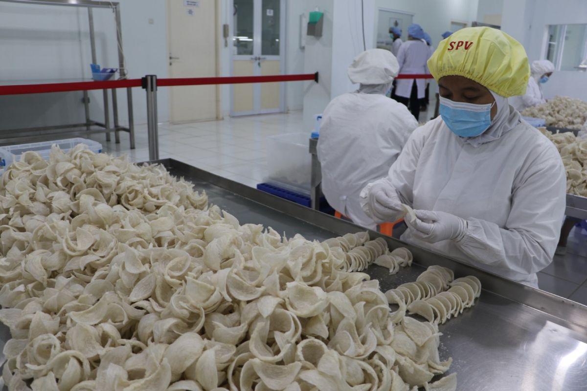 Sejarah sarang burung walet sebagai komoditas unggulan Negara Indonesia