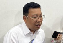 Profil Arief Prasetyo Adi, eks Kepala Bapanas yang tersebut dicopot Prabowo