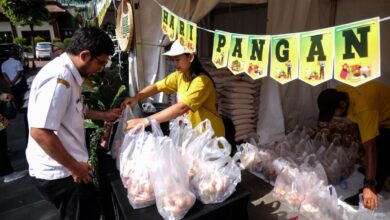 Simak sejarah serta juga tujuan diperingatinya Hari Pangan Sedunia