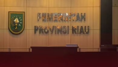 Segini harta kekayaan Wakil Pemimpin wilayah Riau S. F. Hariyanto