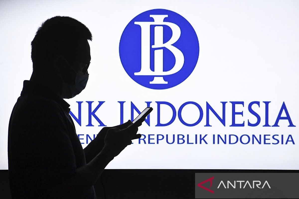 otoritas bisa saja jadi tarik surplus BI untuk penuhi keperluan APBN