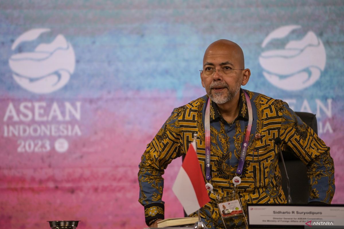 Profil Sidharto Reza, Presiden Dewan HAM PBB perwakilan RI