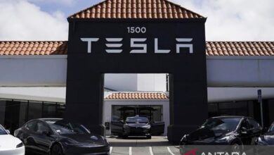 Label sertifikasi berat tidaklah terpasang, Tesla recall 14.575 Model Y