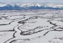 Mengenal Greenland, 10 fakta menyita perhatian pulau terbesar ke globus