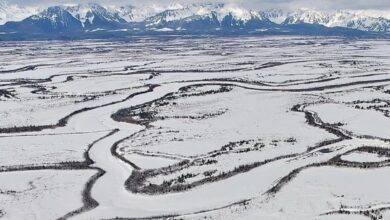 Mengenal Greenland, 10 fakta menyita perhatian pulau terbesar ke globus