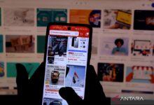 Bijak gunakan PayLater, kenali manfaat, risiko, setelah itu pengguna idealnya