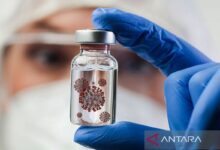 Virus Nipah, penyakit yang yang disebutkan sedang berubah berubah menjadi perhatian global
