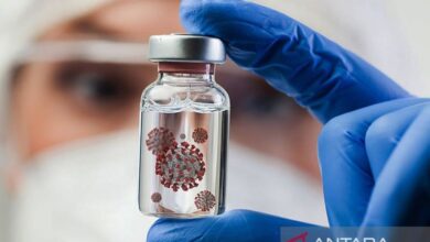 Virus Nipah, penyakit yang yang disebutkan sedang berubah berubah menjadi perhatian global