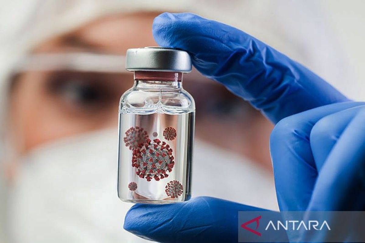 Virus Nipah, penyakit yang yang disebutkan sedang berubah berubah menjadi perhatian global