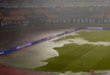 Persib perbaiki kualitas rumput GBLA Bandung jelang ACL Two