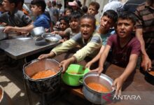 PBB: Kekurangan dana bantuan ancam sumber penghidupan warga Daerah Daerah Gaza