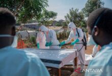 Angka kematian akibat Ebola ke RD Kongo capai 196 pendatang
