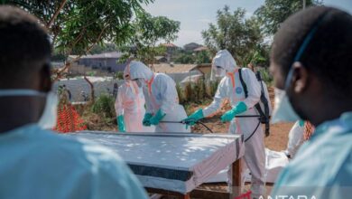 Angka kematian akibat Ebola ke RD Kongo capai 196 pendatang