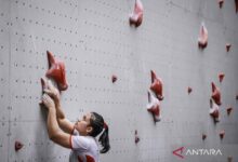 FPTI kirim 11 atlet panjat tebing untuk World Climbing Series Madrid