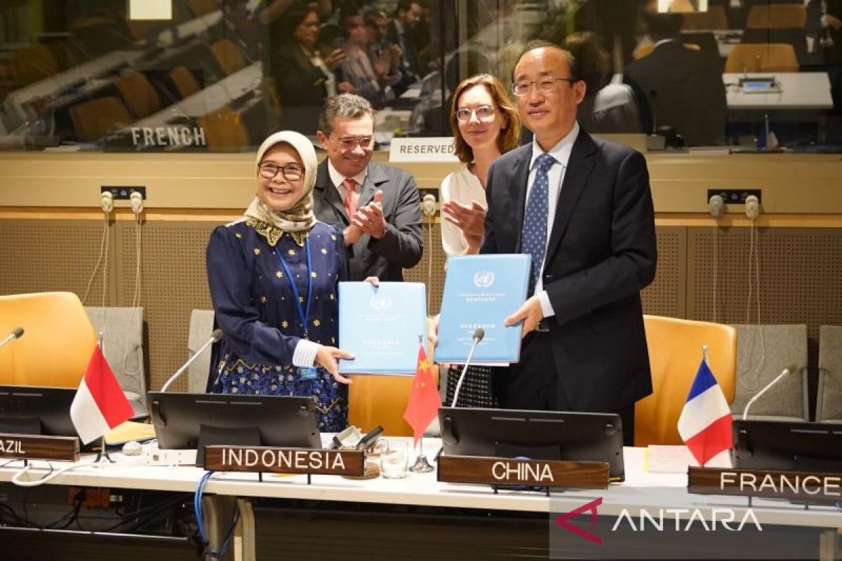 Tanah Air gantikan China jadi anggota Dewan Auditor PBB