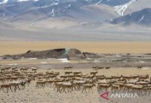 China serukan upaya internasional tingkatkan tata kelola SDA