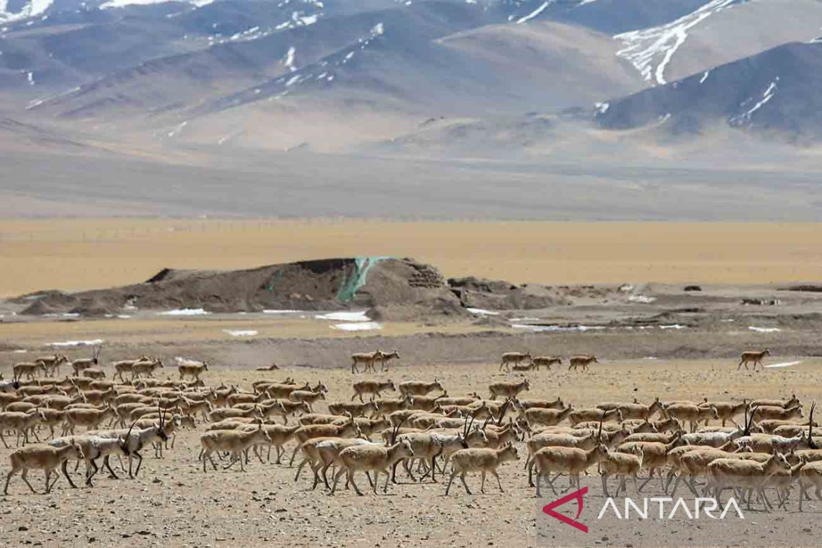 China serukan upaya internasional tingkatkan tata kelola SDA