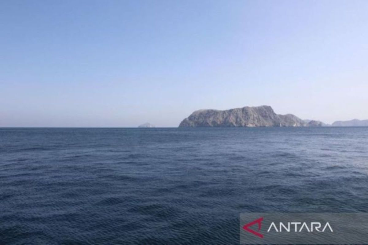 Seoul: Negeri Paman Sam tak minta Korsel kerahkan pasukan ke Selat Hormuz