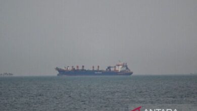 IMO peringatkan ancaman rantai pasok ke Laut Merah