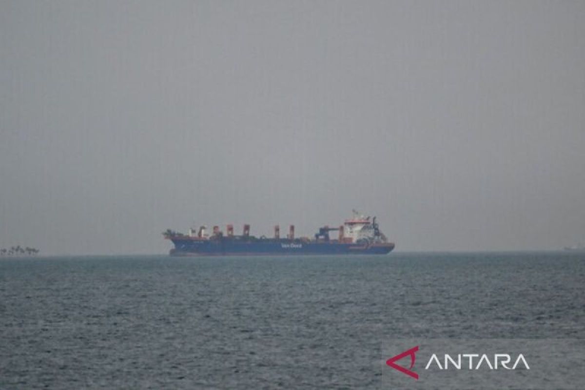 IMO peringatkan ancaman rantai pasok ke Laut Merah